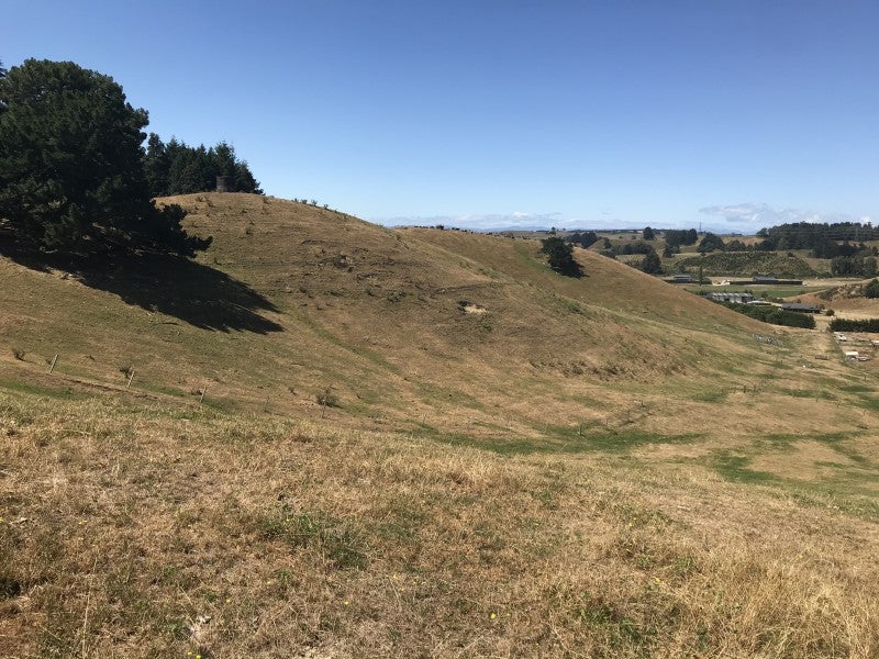 343 Oruanui Road, Wairakei, Taupo - Carousel 2