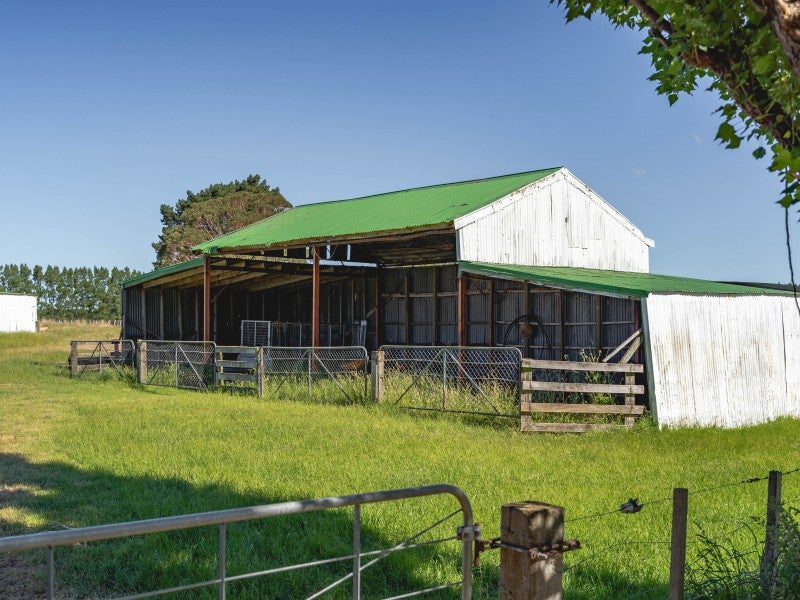 89 No 1 Line, Featherston - Carousel 26
