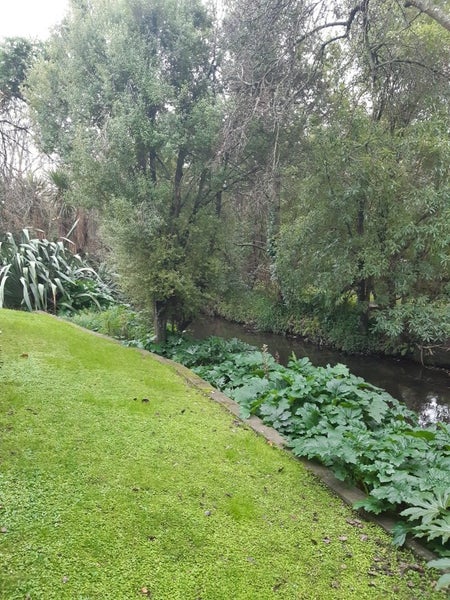 23A Coppell Place, Hillmorton, Christchurch - Carousel 2