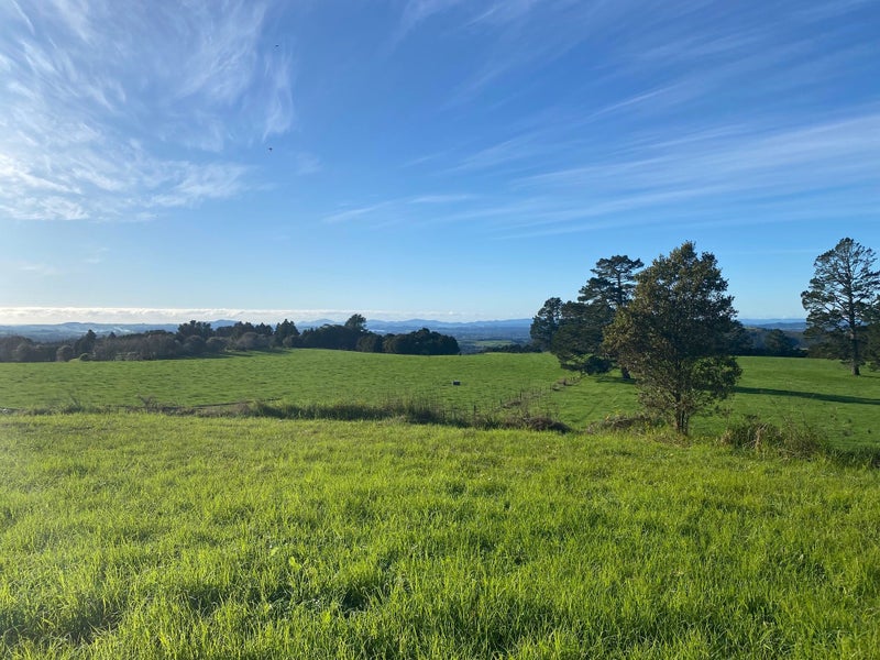 0 Pungaere Road - Carousel 1