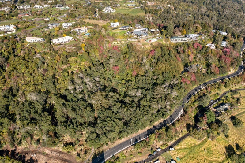 213E Minden Road, Minden, Tauranga - Carousel 20