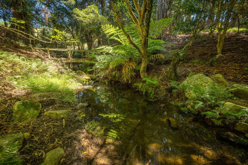 236 Willoughby Road, Tahawai, Katikati - Carousel 42