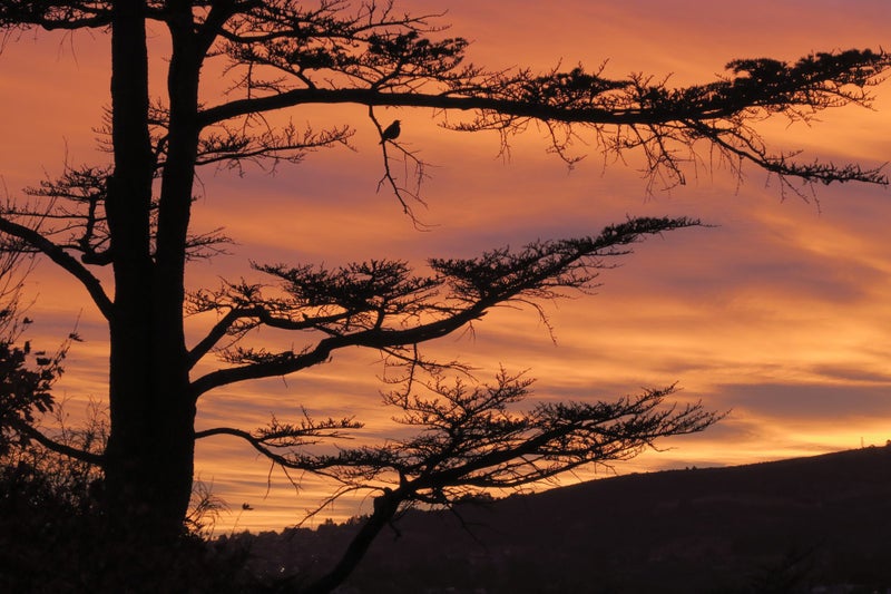 43 Signal Hill Road, Opoho, Dunedin - Carousel 21