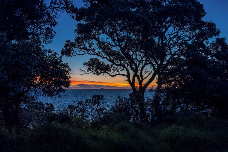 18 Esslin Road, Surfdale, Waiheke Island - Carousel 26