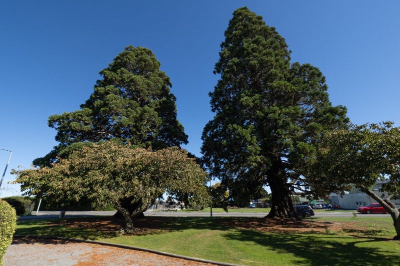 59 Bridge Street, Whakatane, Whakatane - Carousel 22