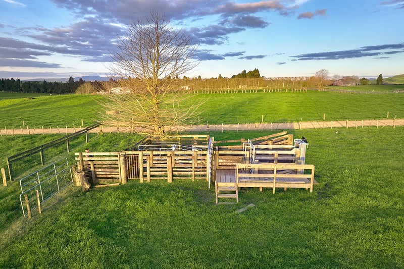 298 Te Kawa Road, Te Kawa - Carousel 27