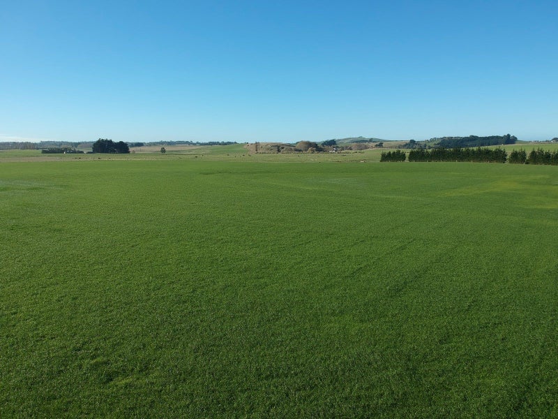 0 Springfield Rd, Totara, Oamaru - Carousel 10