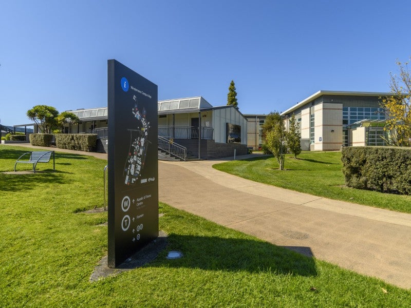 3 Austen Way, Hairini, Tauranga - Carousel 18