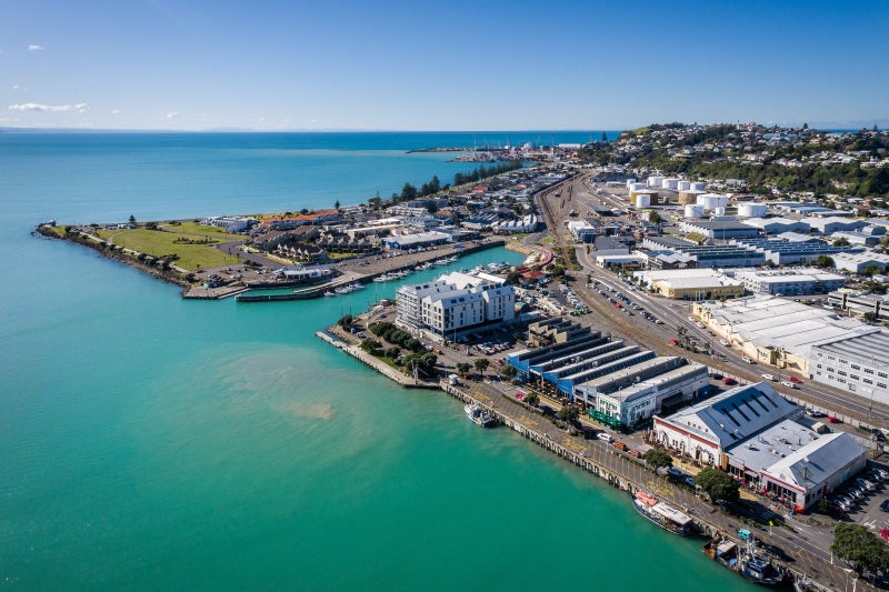 31 Coronation Street, Ahuriri, Napier - Carousel 23