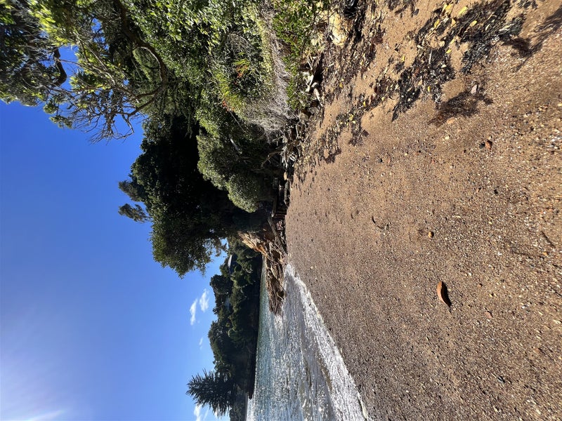 17 Virginia Avenue, Broad Bay, Dunedin - Carousel 24