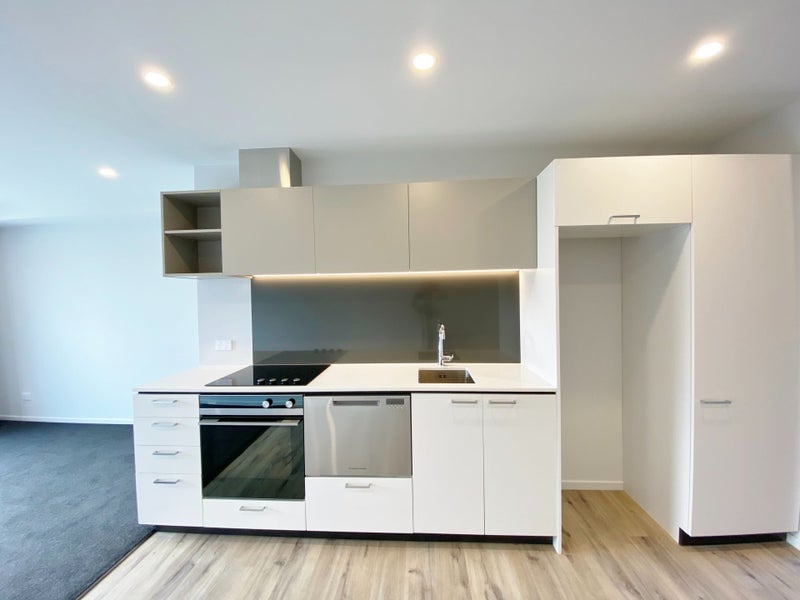 11/45 Dickens Street, Addington, Christchurch - Carousel 2