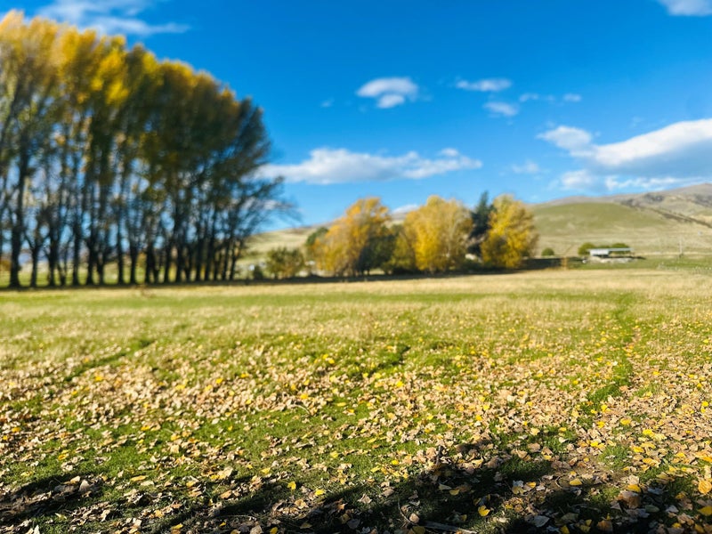 779 Ardgour Road, Tarras, Cromwell - Carousel 1