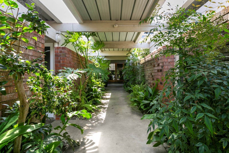 3/42 Speight Road, Kohimarama, Auckland - Carousel 1