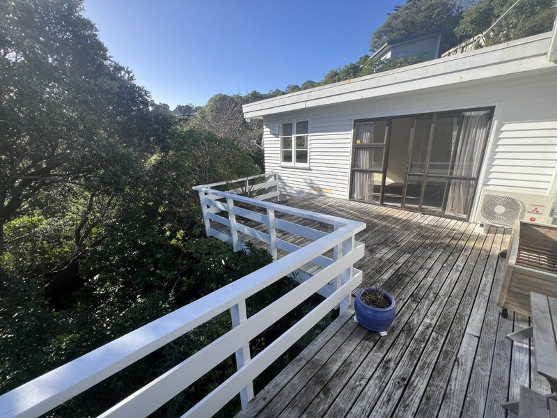 169 Totara Road, Miramar, Wellington - Carousel 23