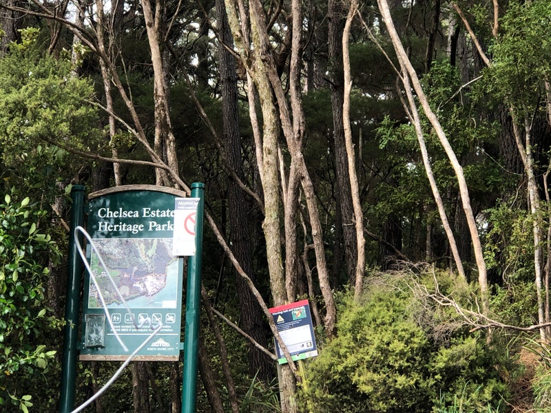 139 Onetaunga Road, Chatswood, Auckland - Carousel 8