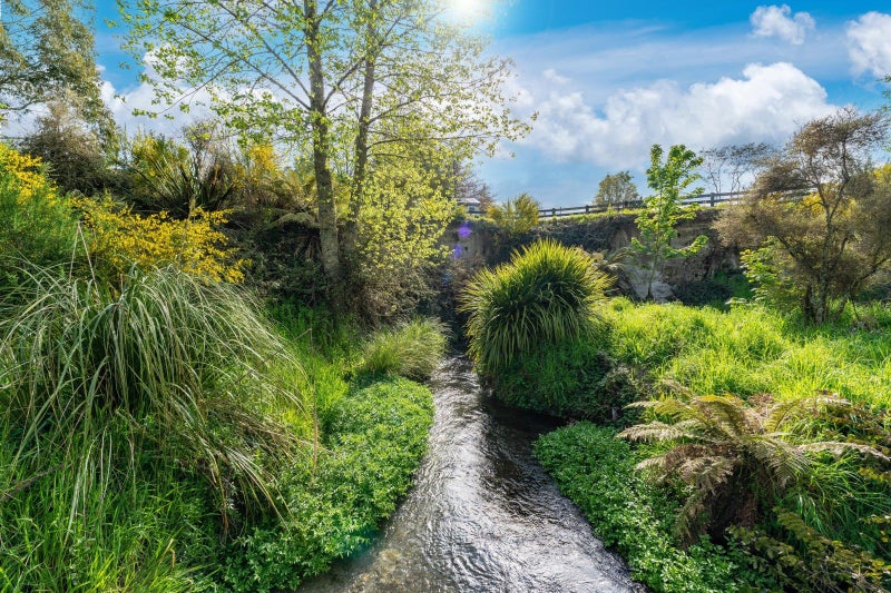 201 Tiverton Downs Road, Reporoa - Carousel 2