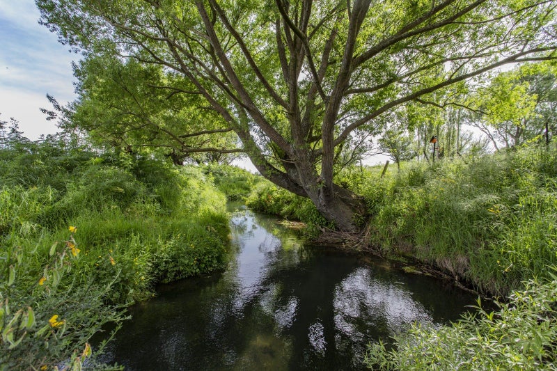 162 Toppings Road, Sefton - Carousel 9