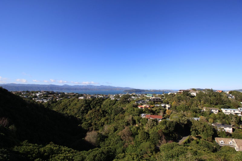 84B Madras Street, Khandallah, Wellington - Carousel 13