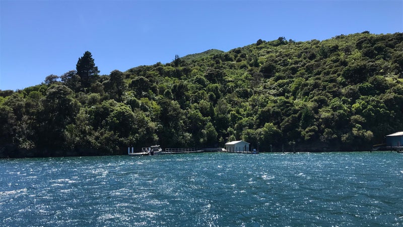 0 Double Cove, Double Cove, Marlborough Sounds - Carousel 3