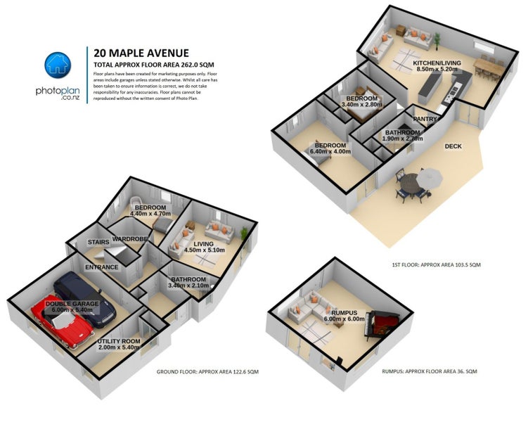 20 Maple Avenue, Dinsdale, Hamilton - Carousel 22