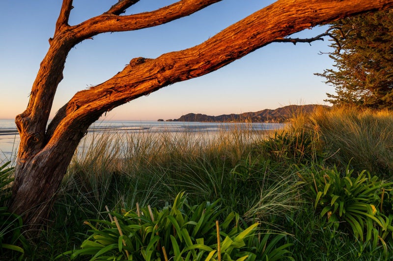 42 Selwyn Street, Pōhara, Tākaka - Carousel 20