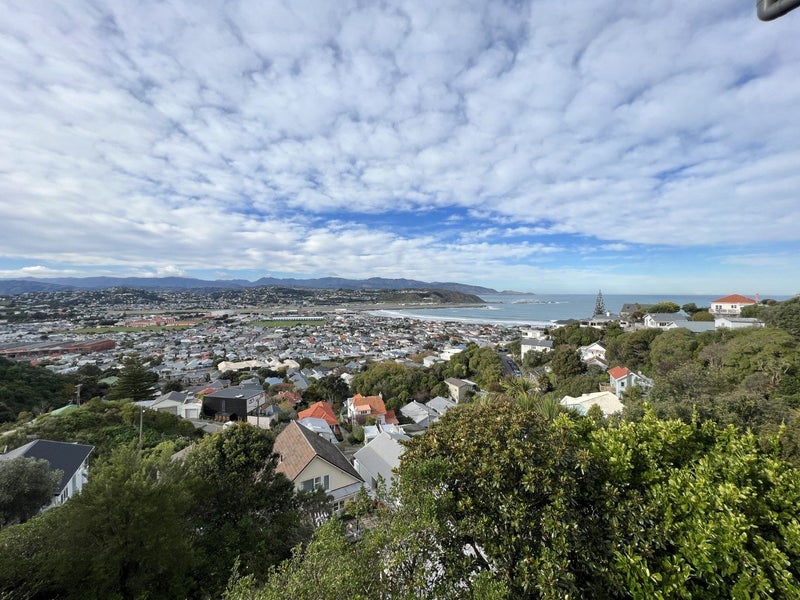 53 Sutherland Road, Melrose, Wellington - Carousel 15