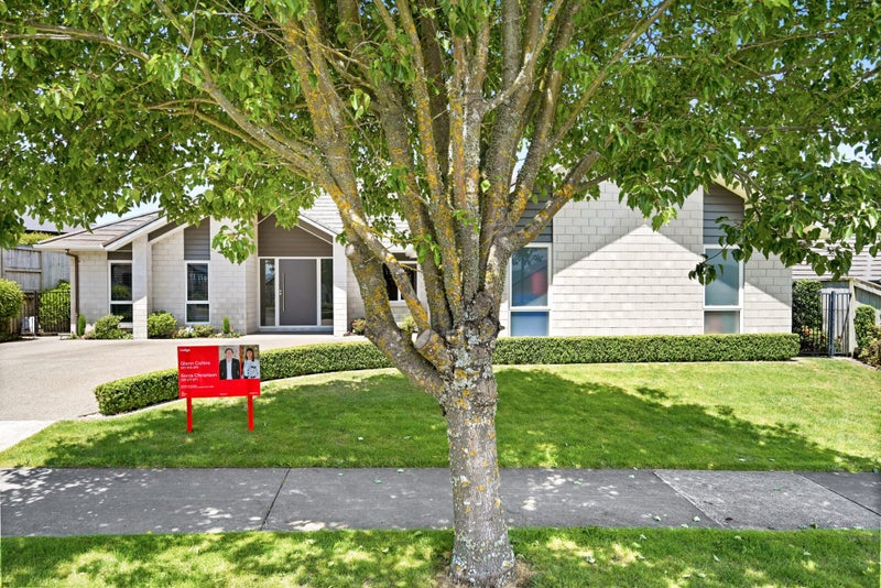 16 Longbow Terrace, Flagstaff, Hamilton - Carousel 2