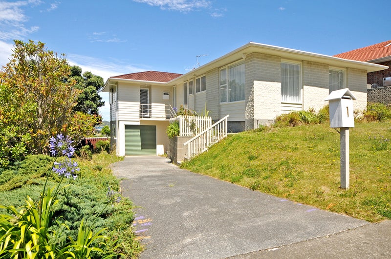 1 Houston Grove, Miramar, Wellington - Carousel 2