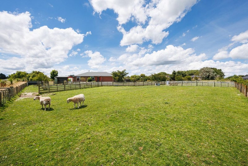 169 Greer Court, Bunnythorpe, Palmerston North - Carousel 30