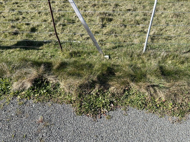 63 Glassworks Road, Netherby, Ashburton - Carousel 22