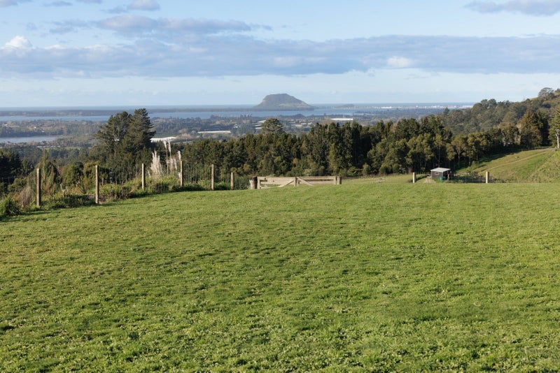 299 WHAKAMARAMA ROAD, Whakamarama, Bay Of Plenty - Carousel 50