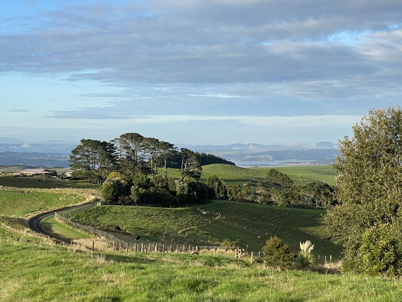 0 Newton Road, Raglan, Raglan - Carousel 2