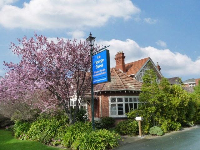 526 George Street, North Dunedin, Dunedin - Carousel 2