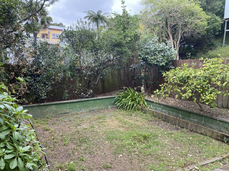 7 Carrington Street, Mount Cook, Wellington - Carousel 8