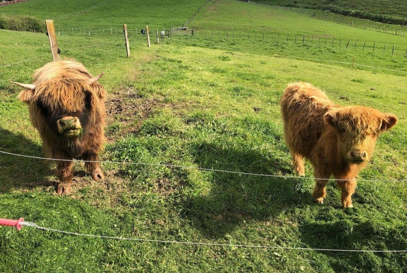 25C Mason Road, Hawera - Carousel 2