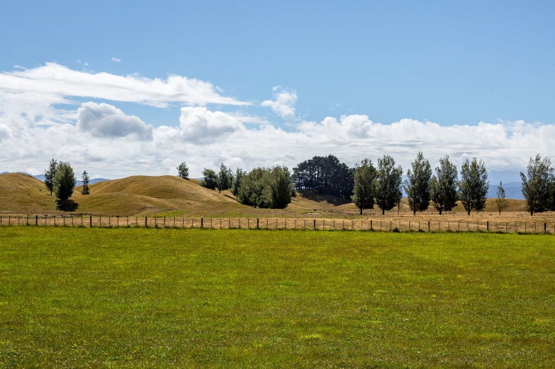 968 Kahutara Road, Kahutara - Carousel 21