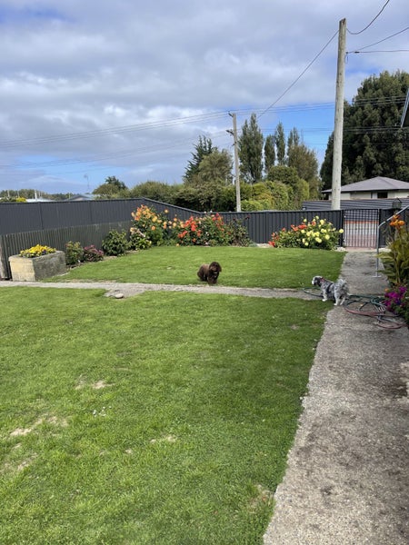 126 Mcquarrie Street, Kingswell, Invercargill - Carousel 19