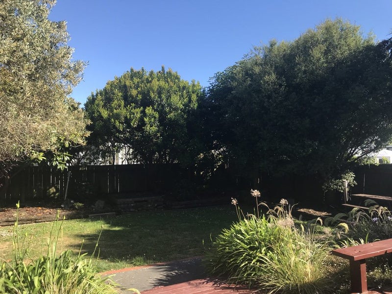 267 Riverside Drive, Waterloo, Lower Hutt - Carousel 14