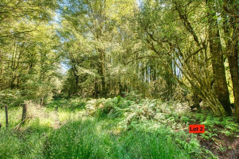 3021 State Highway 7, Dobson - Carousel 10