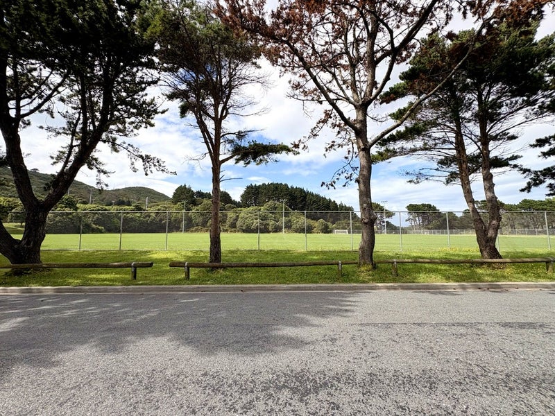 3/20 Lavaud Street, Berhampore, Wellington - Carousel 21