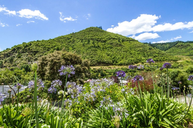 69 Robinson Road, The Brook, Nelson - Carousel 12