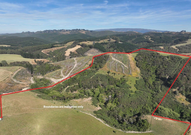 55 Highland Road, Brighton, Dunedin - Carousel 2