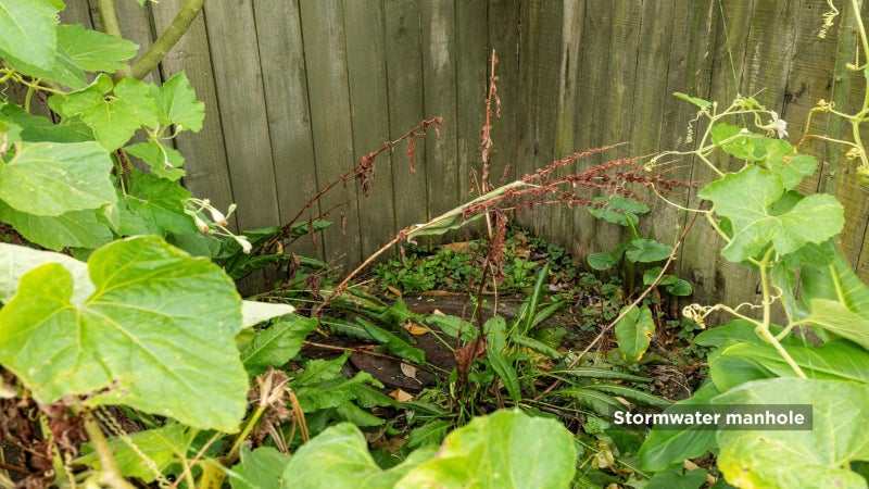 39 Sierra Street, Glendowie, Auckland - Carousel 15