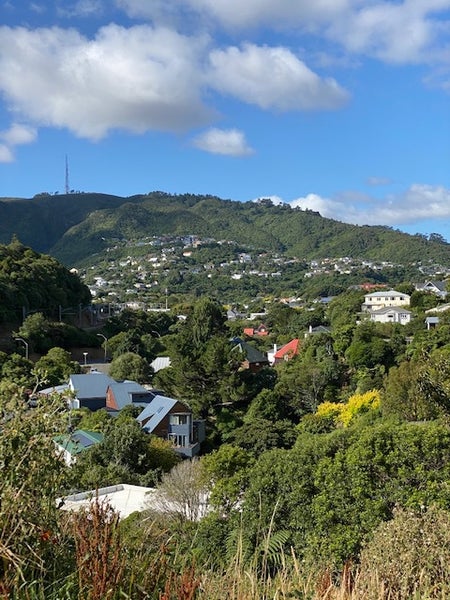 7 Jacobsen Lane, Ngaio, Wellington - Carousel 5
