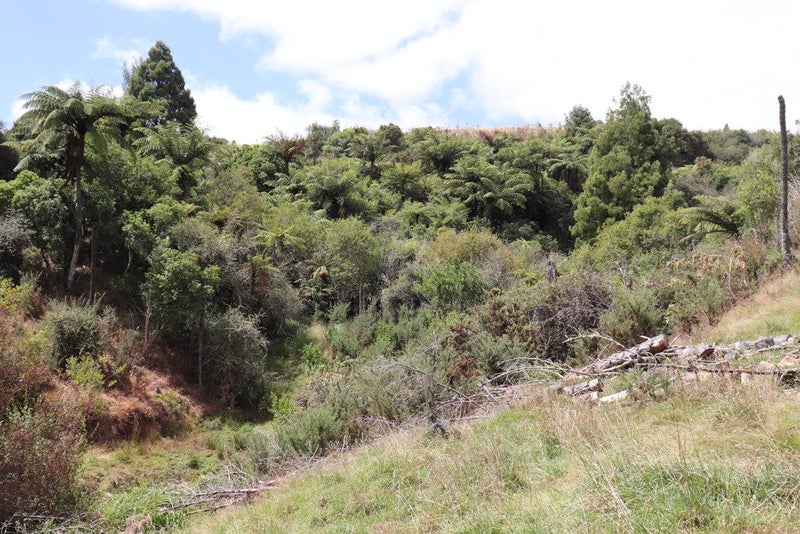 178 Wilton Collieries Road, Ngaruawahia - Carousel 21