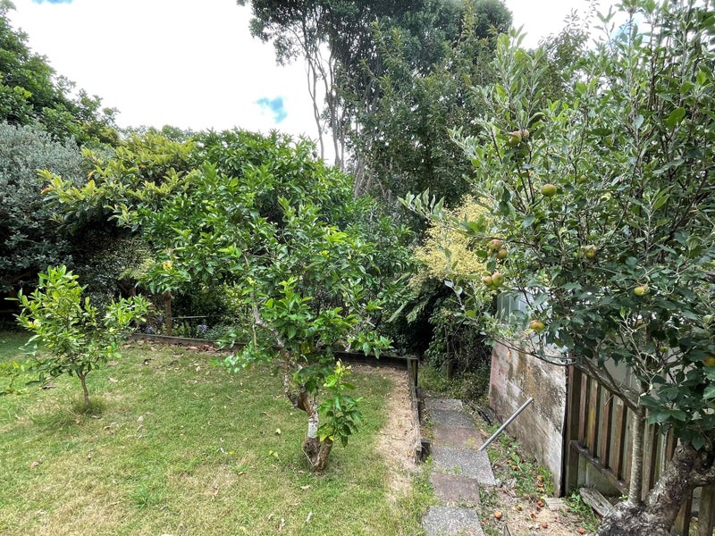 56 Belfast Street, Hillsborough, Auckland - Carousel 17