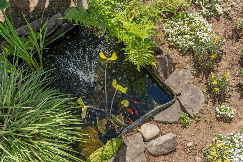 37 Murray Street, Gate Pa, Tauranga - Carousel 20