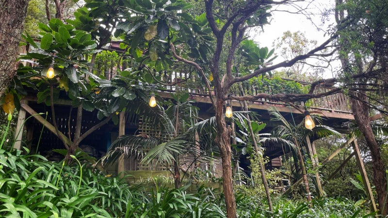 35 Crescent Road East, Ostend, Waiheke Island - Carousel 2