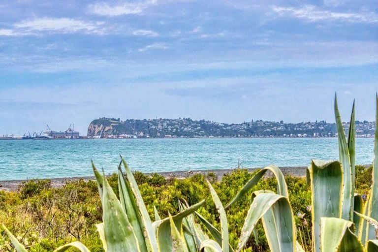 1/382 Main North Road, Bay View, Napier - Carousel 9