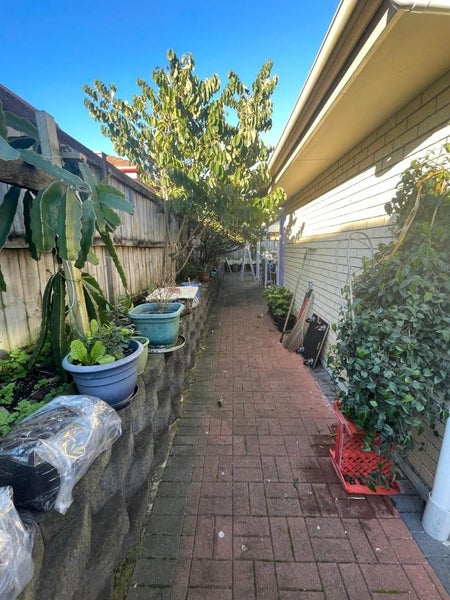 10 Agapanthus Place, Flat Bush, Auckland - Carousel 19